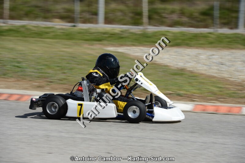 DSC_3493.jpg