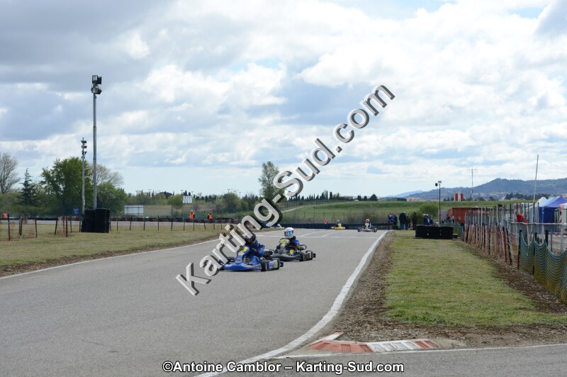 DSC_3595.jpg