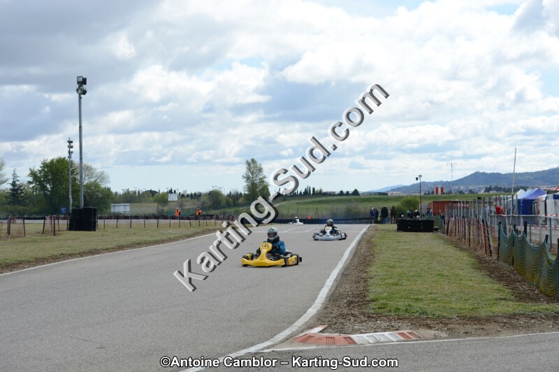 DSC_3596.jpg