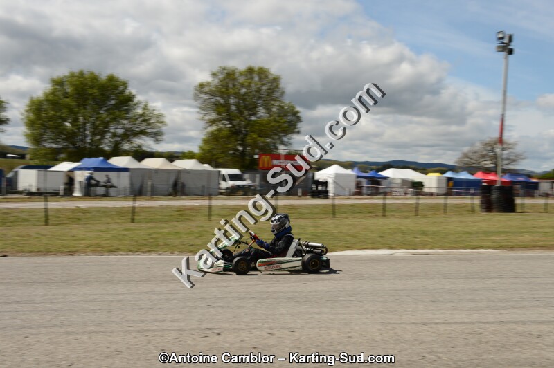 DSC_3742.jpg