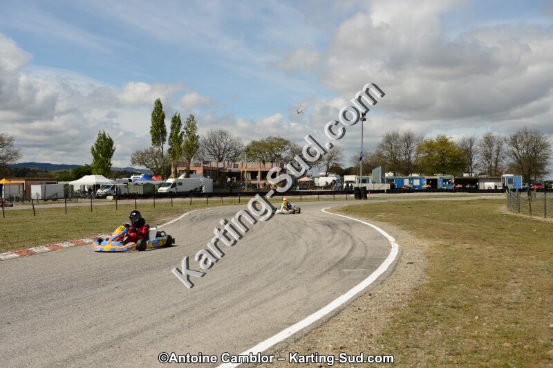 DSC_3767.jpg