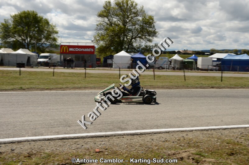 DSC_3771.jpg