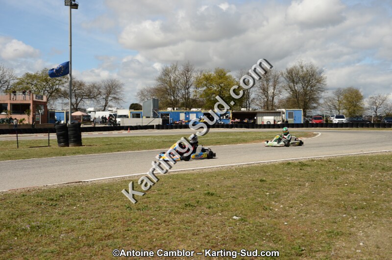 DSC_3772.jpg