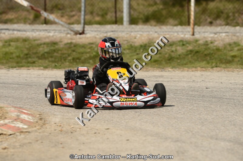 DSC_4219.jpg