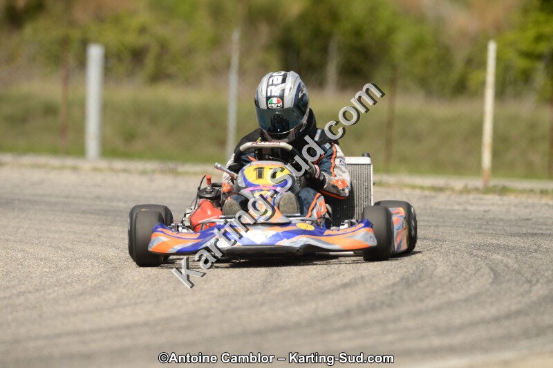 DSC_4337.jpg