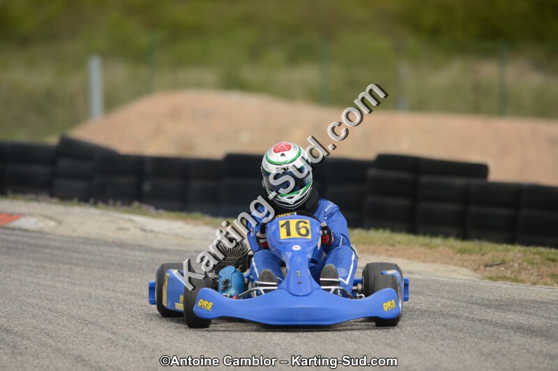 DSC_4378.jpg