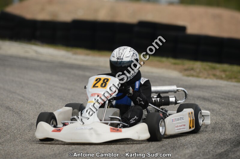 DSC_4396.jpg