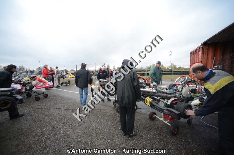 DSC_4655.jpg
