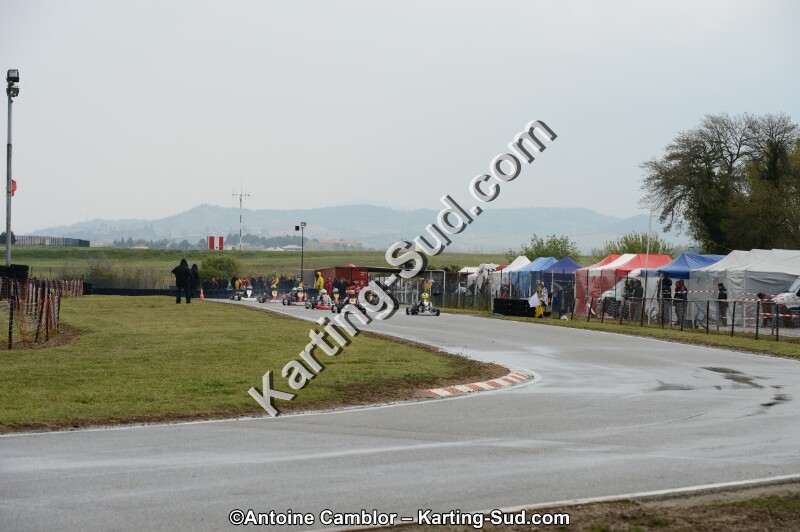 DSC_4881.jpg