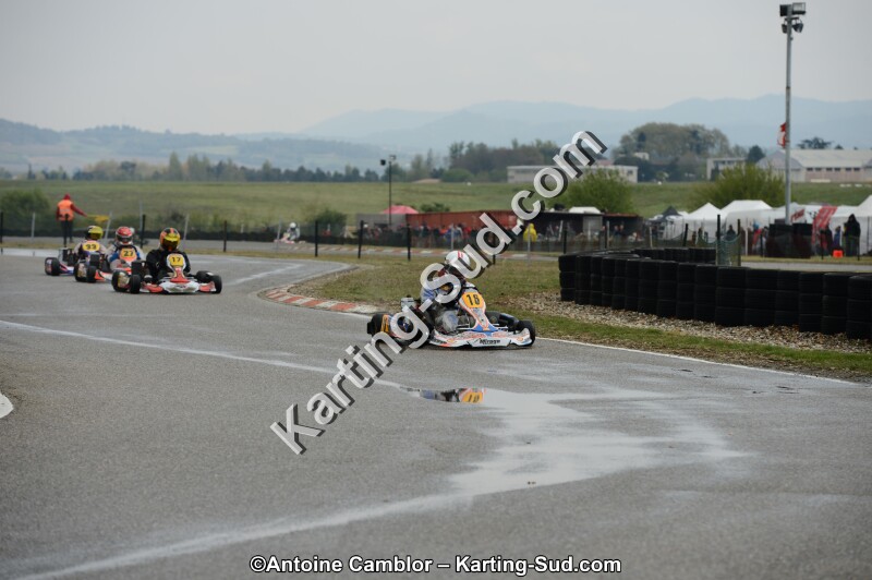 DSC_5036.jpg