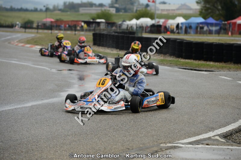 DSC_5037.jpg