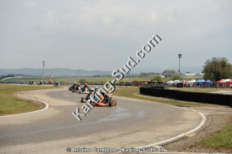 DSC_5202.jpg