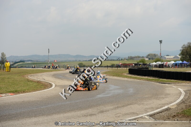 DSC_5203.jpg