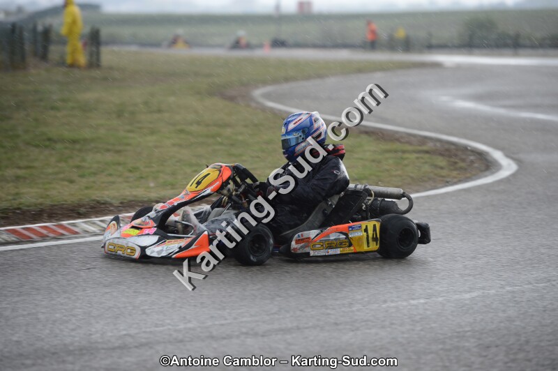 DSC_5298.jpg