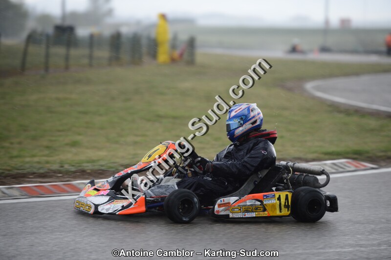 DSC_5311.jpg