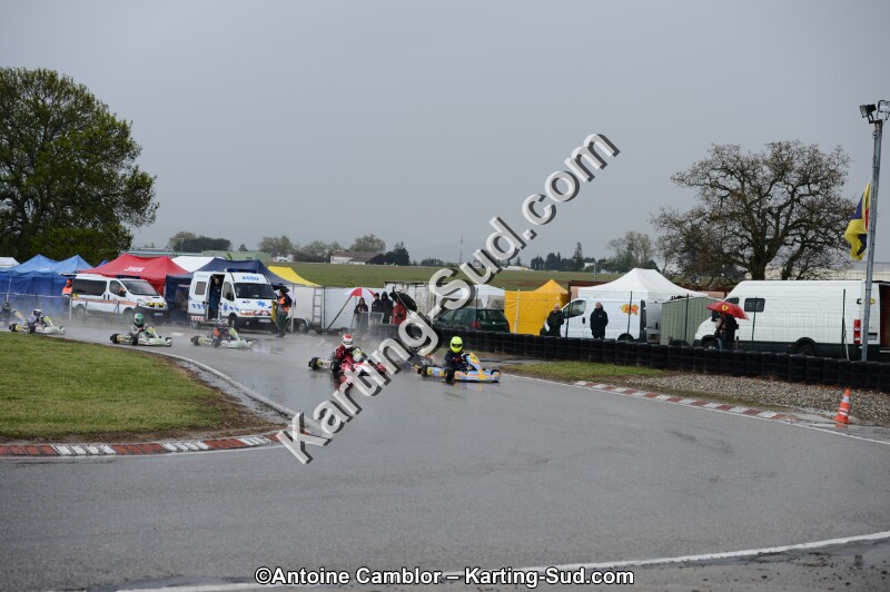 DSC_5371.jpg