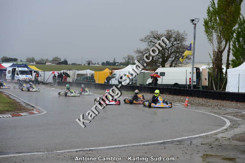 DSC_5373.jpg