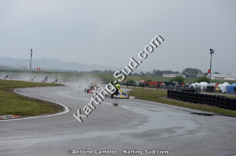 DSC_5380.jpg