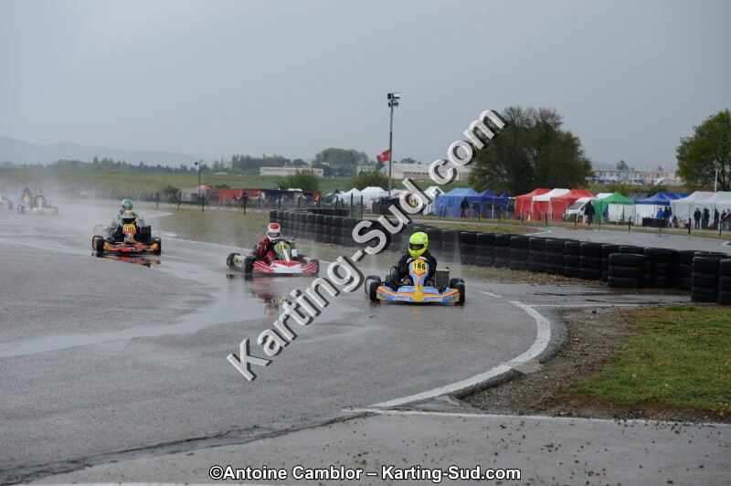 DSC_5381.jpg