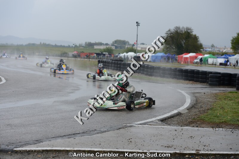 DSC_5384.jpg
