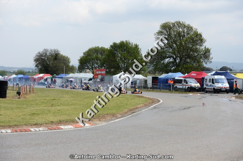 DSC_5459.jpg