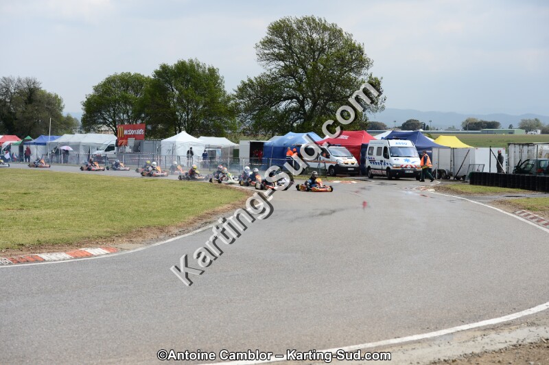 DSC_5460.jpg