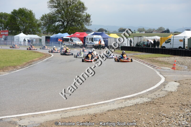 DSC_5462.jpg