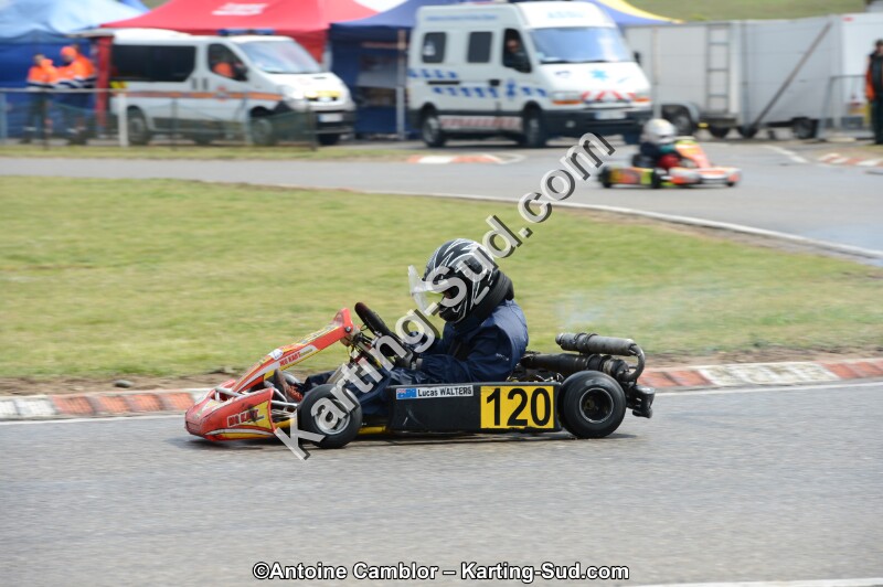DSC_5528.jpg