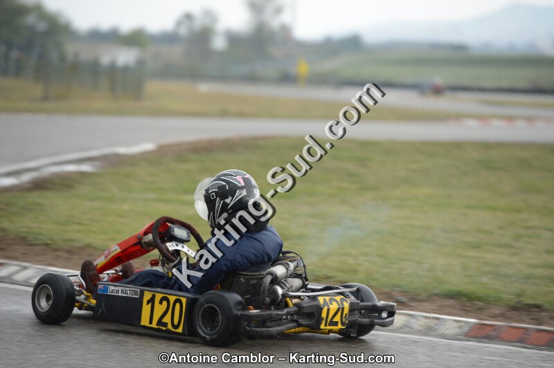 DSC_5565.jpg