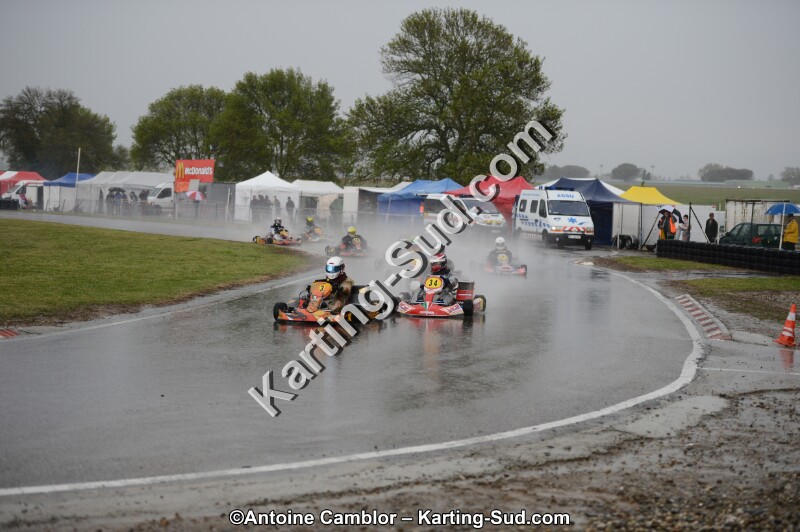 DSC_5590.jpg