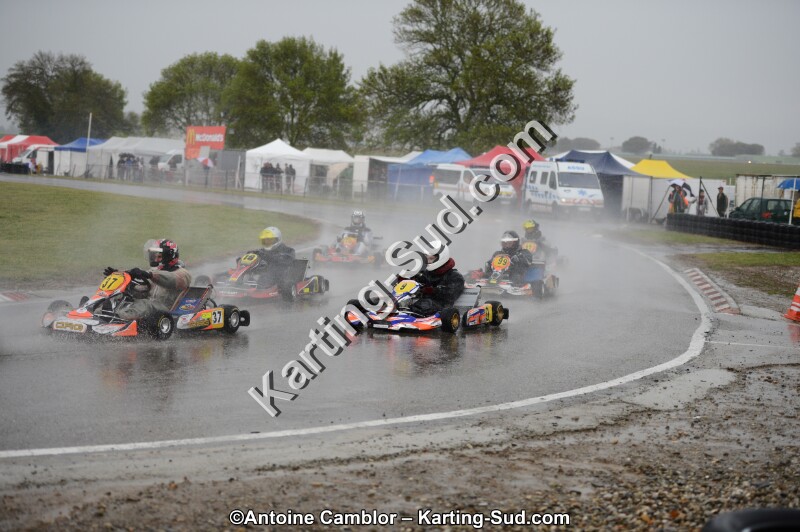 DSC_5593.jpg