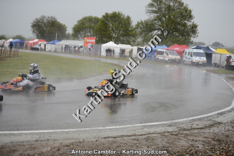 DSC_5596.jpg