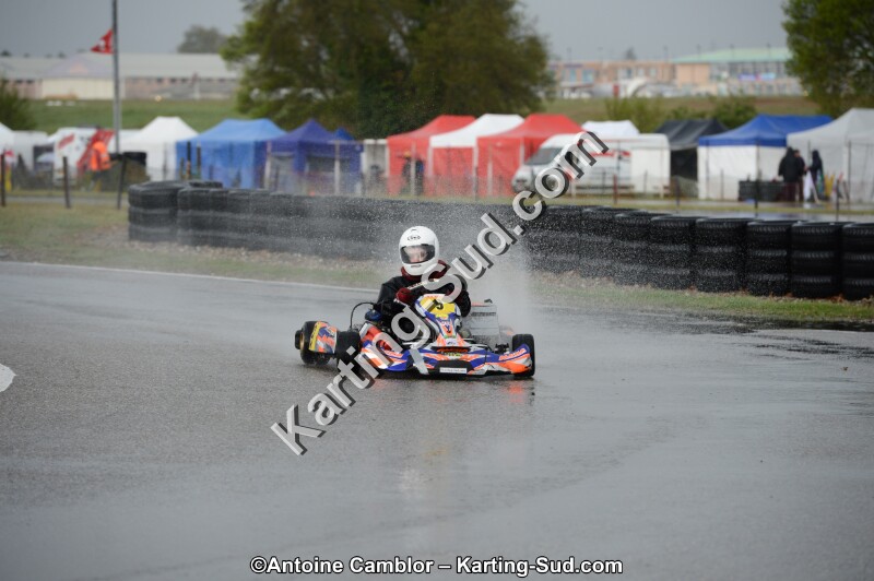 DSC_5613.jpg