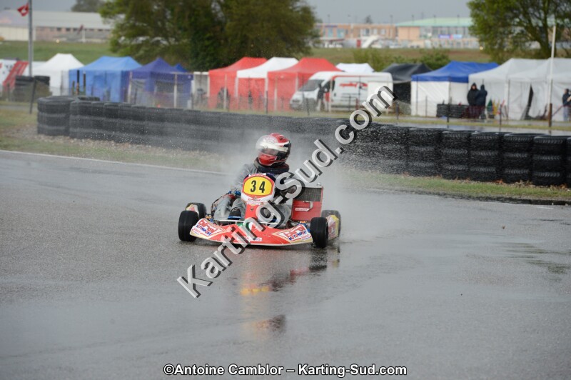 DSC_5619.jpg