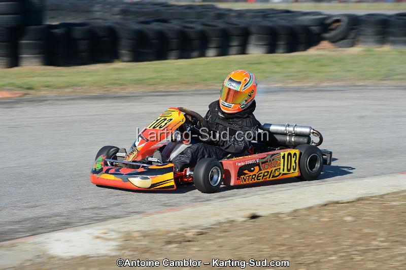 DSC_2732.jpg