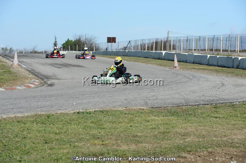 DSC_2768.jpg