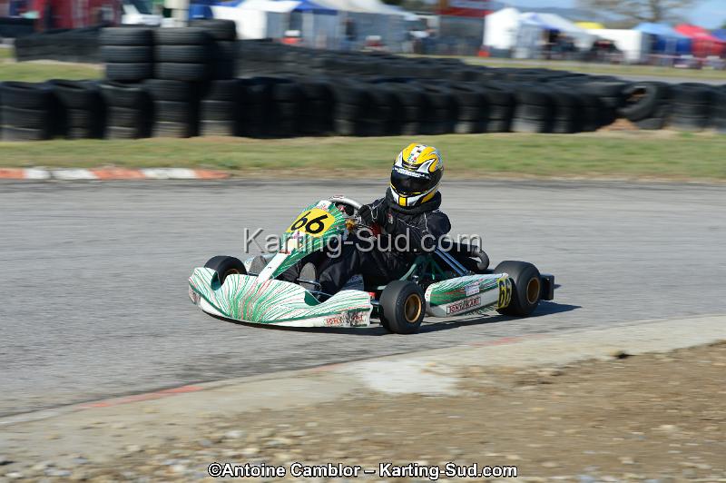 DSC_2785.jpg