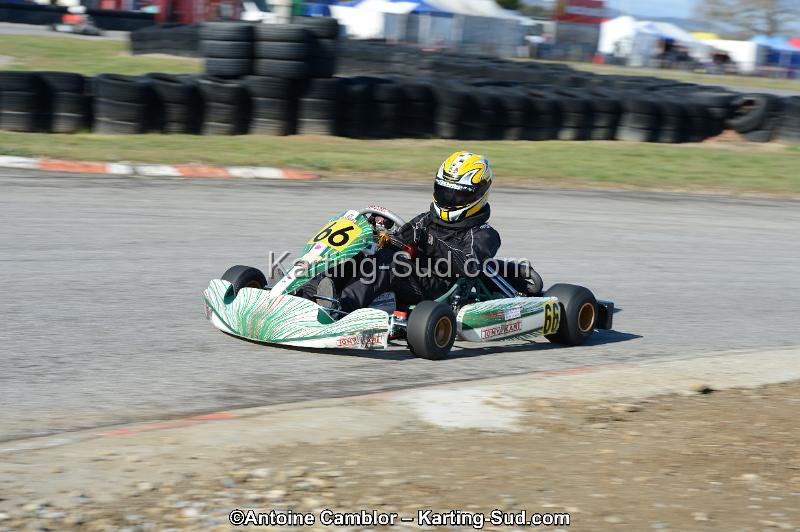 DSC_2794.jpg