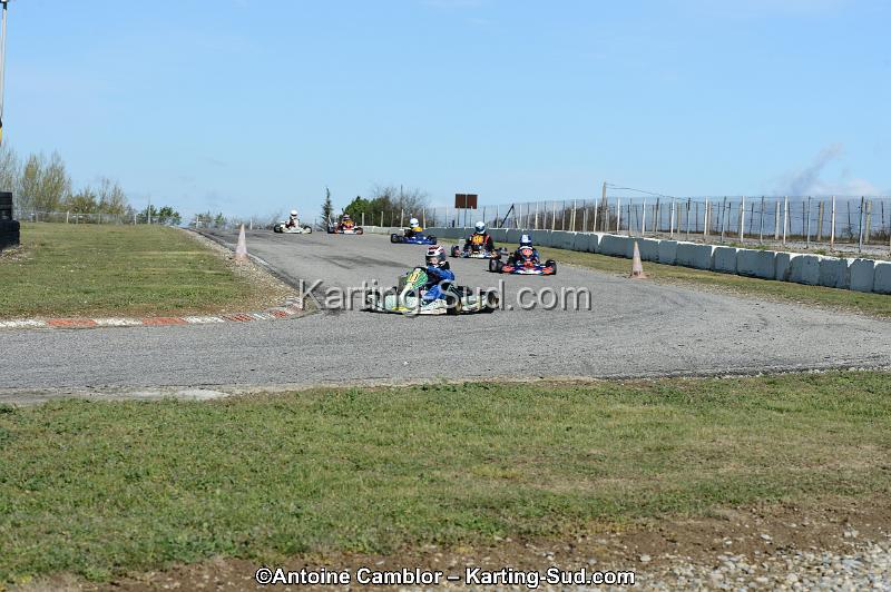 DSC_2796.jpg
