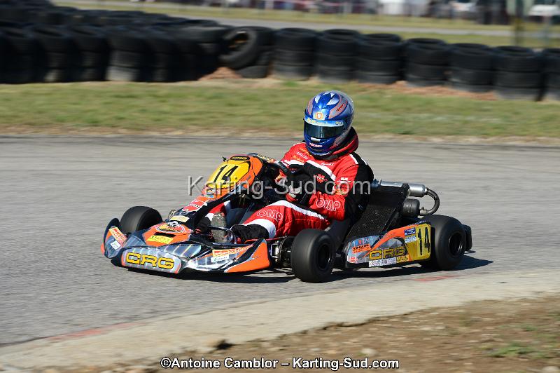 DSC_2883.jpg