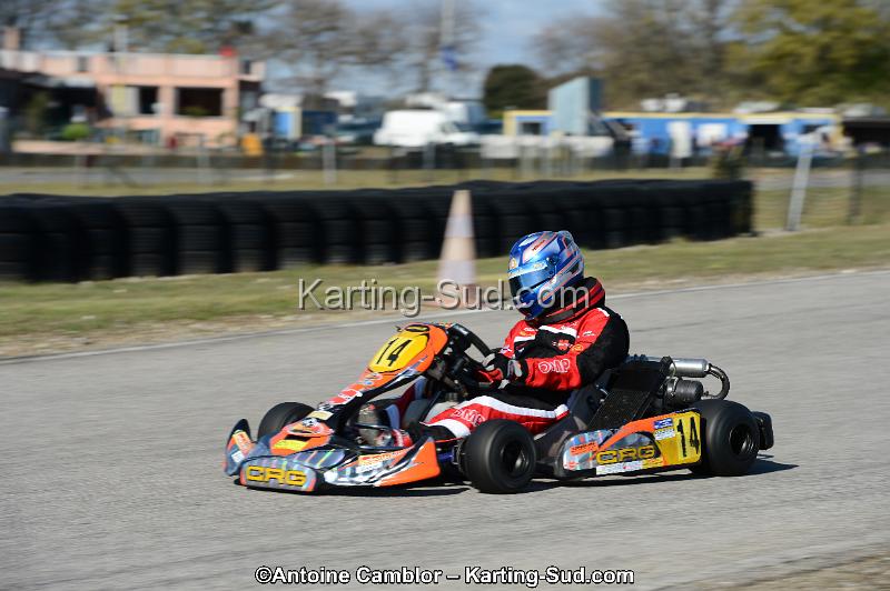 DSC_2919.jpg