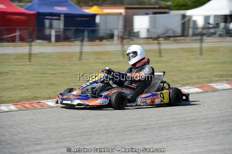 DSC_3135.jpg