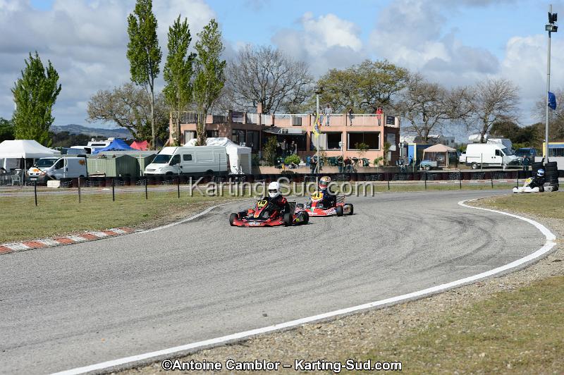 DSC_3136.jpg