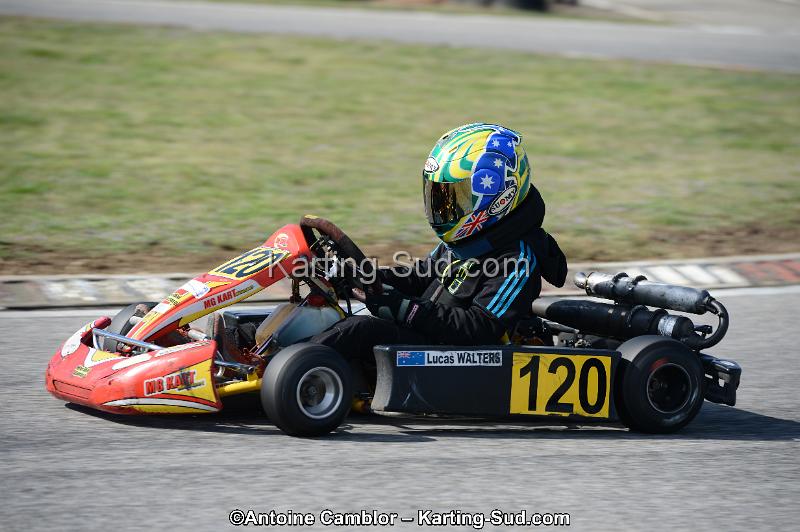 DSC_3251.jpg