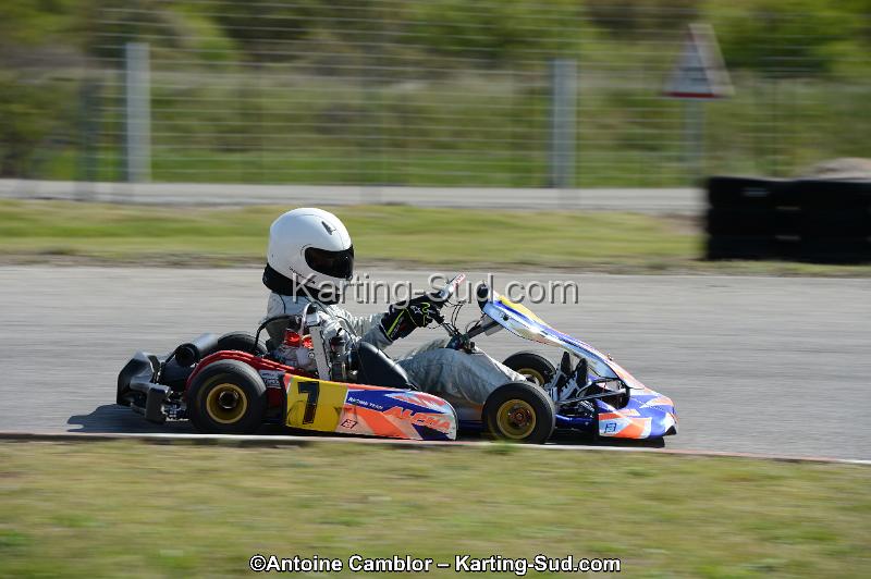 DSC_3323.jpg