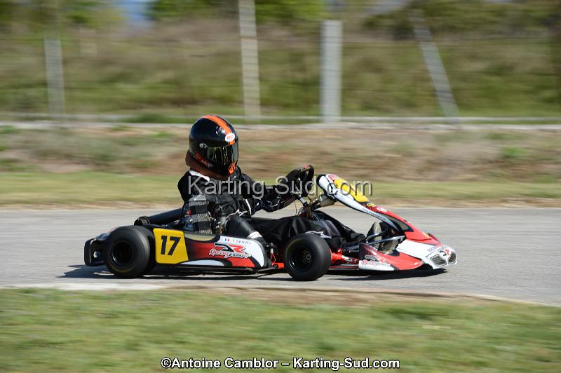 DSC_3325.jpg