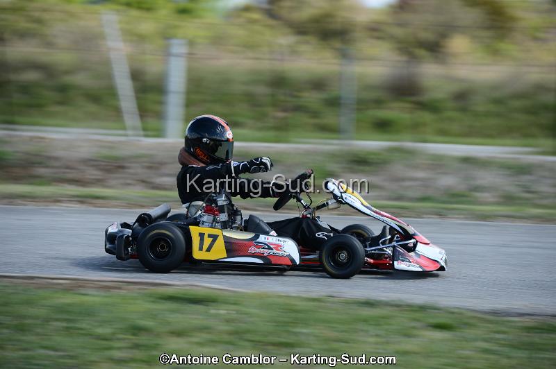 DSC_3330.jpg