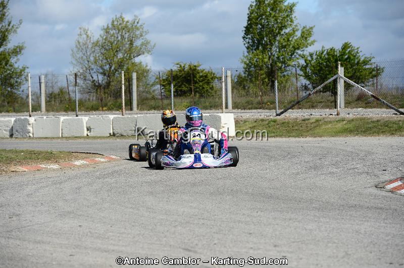 DSC_3333.jpg