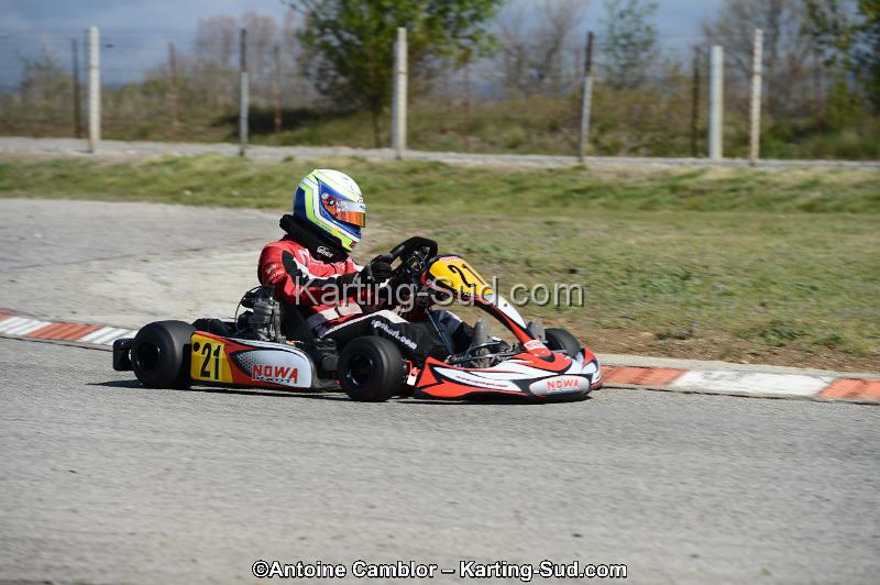 DSC_3337.jpg
