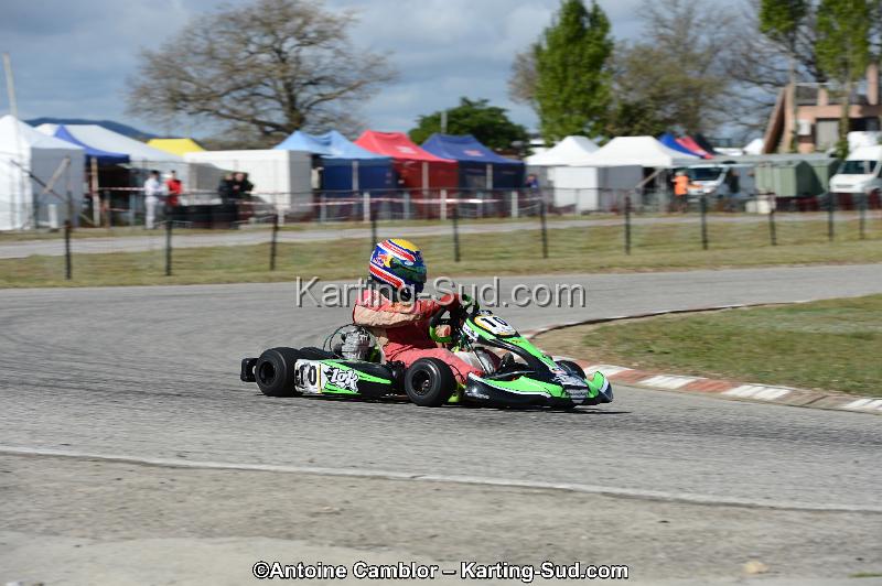 DSC_3350.jpg